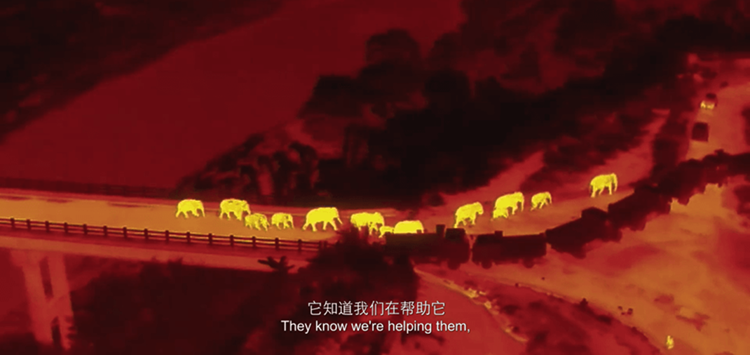/ueditor/image/20260702/1782955259083724/11eff05318c4f7fad85c7b53cfc68f95.png image 13515316.png
