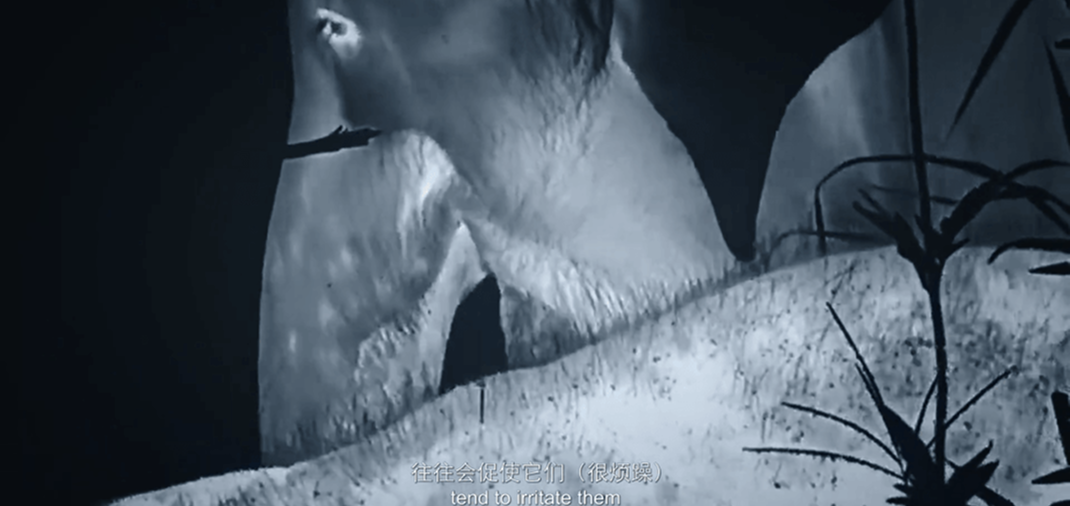 /ueditor/image/20260702/1782955347325055/7ad44cd6b2876656ac52c02910a34247.png image 13515317.png