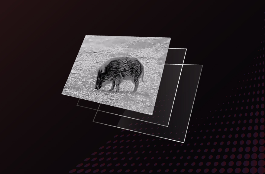 Écran AMOLED Full HD