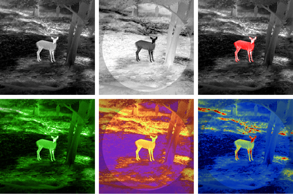 Comment choisir un monoculaire de vision nocturne thermique pour la chasse en 2023