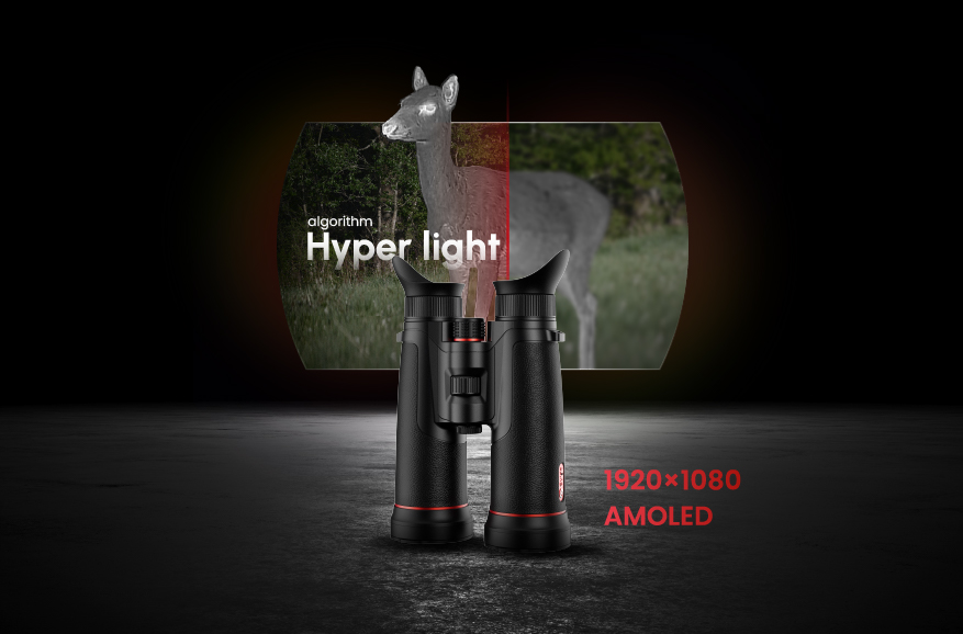 Contenu visuel haut de gamme <br> Optimisé par algorithme