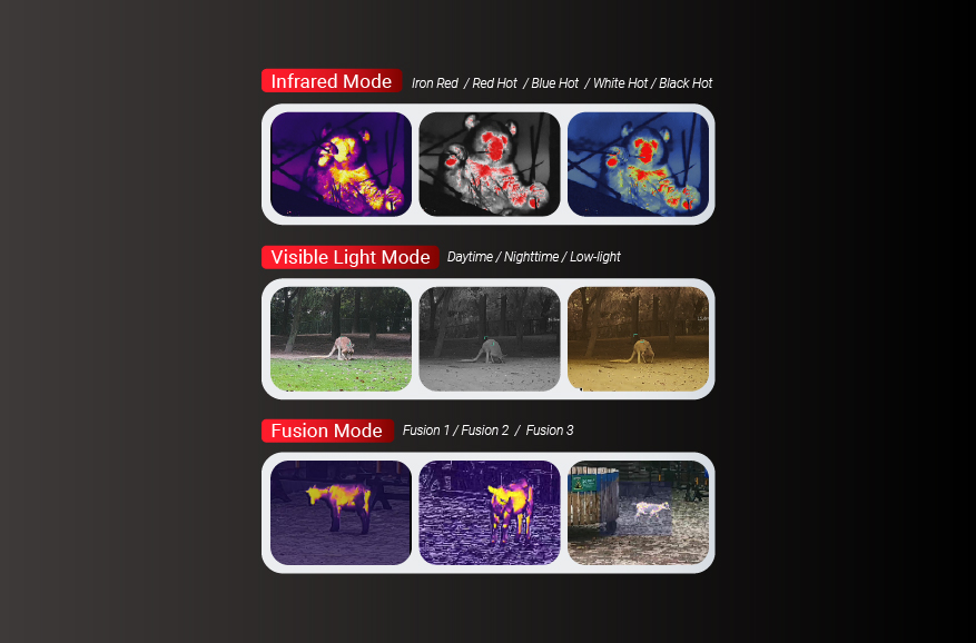 Modes d'affichage multispectraux combinés