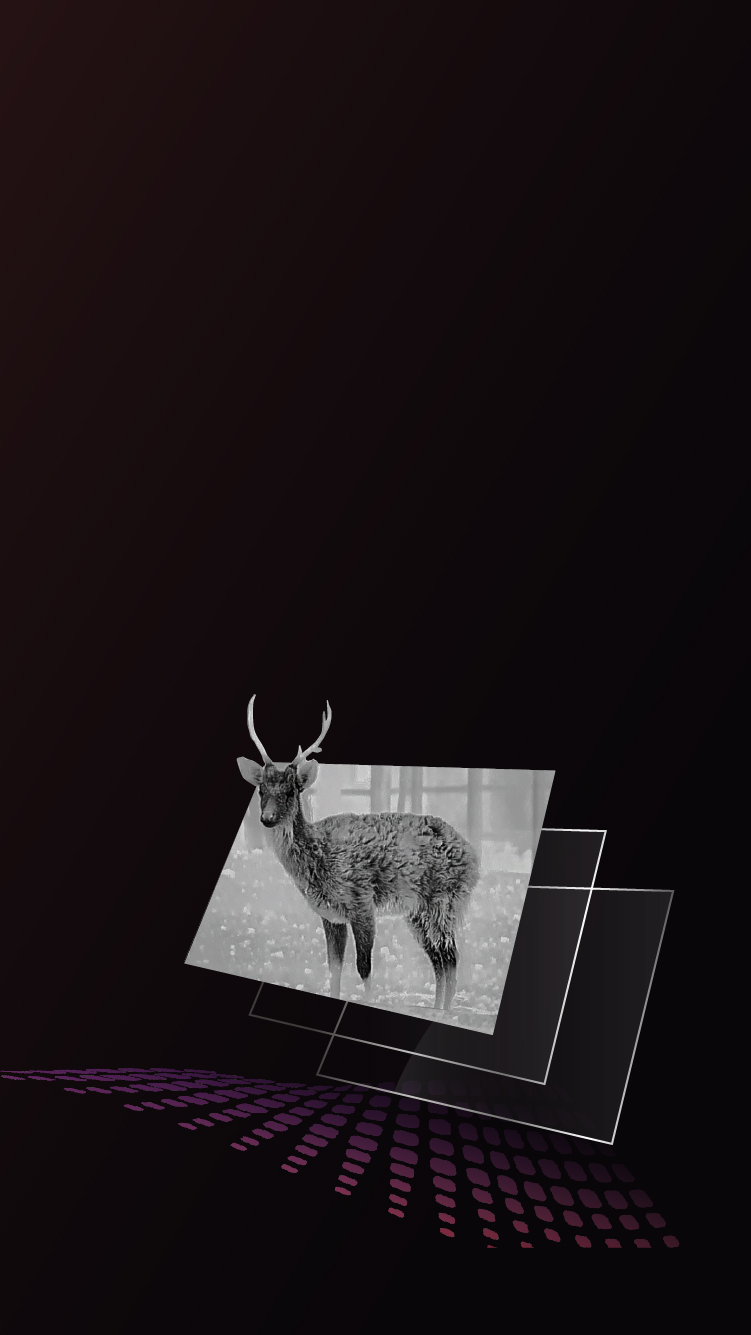 Écran AMOLED 1920 x 1080