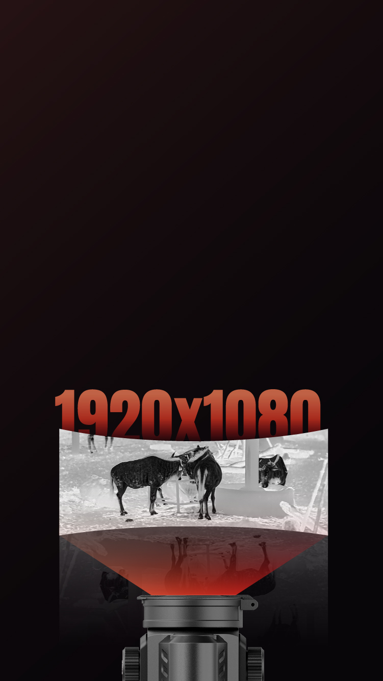 Écran AMOLED Full HD 1920 x 1080