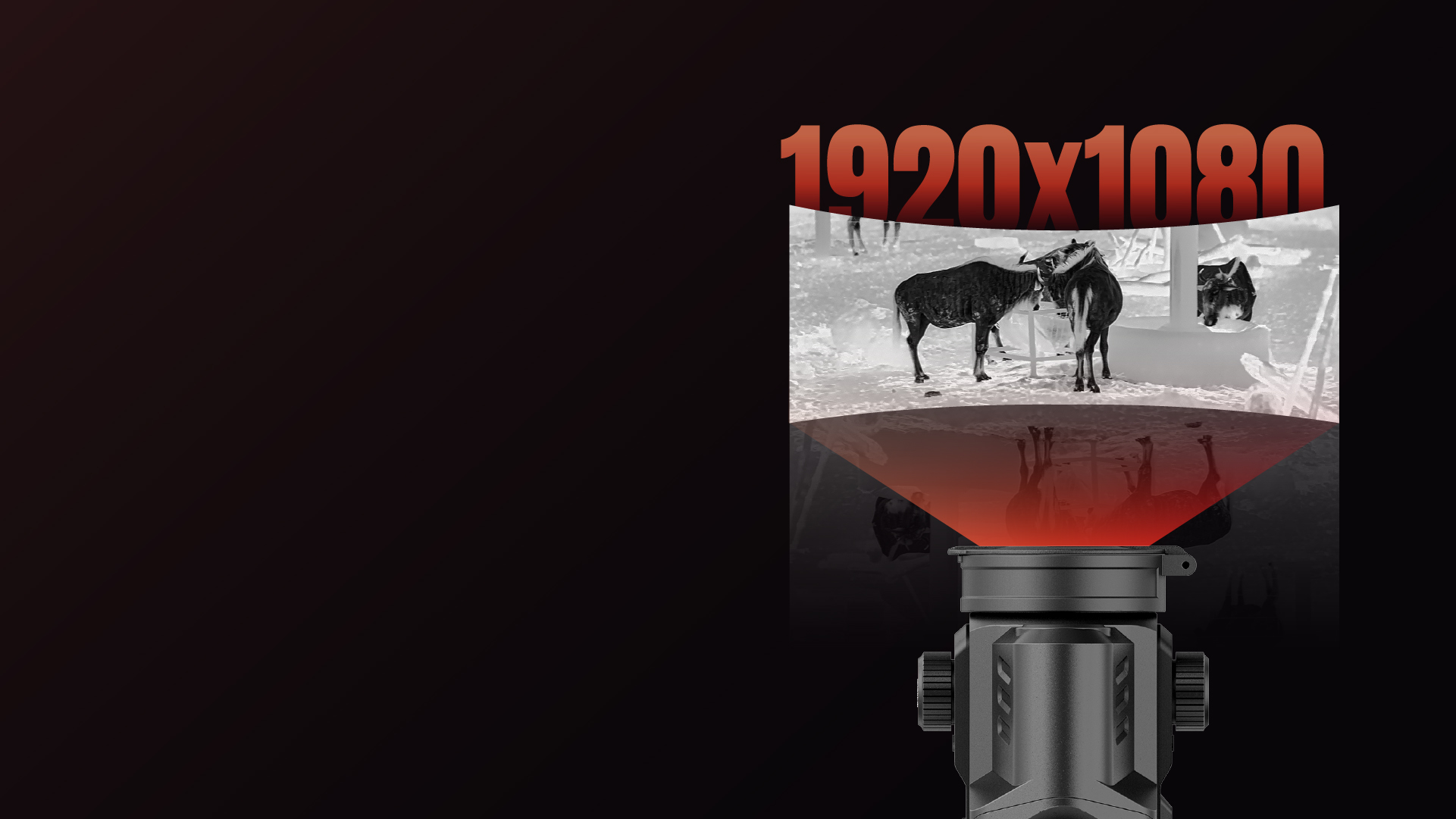 Écran AMOLED Full HD 1920 x 1080