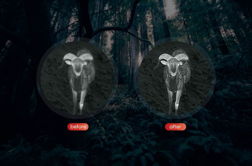 Algorithme de filtrage dynamique adaptatif PureIR (PureIR)